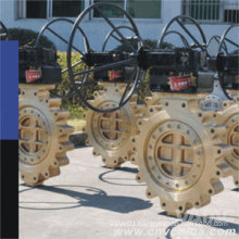 Gear Operation Wafer/Lug/Flanged High Performance Butterfly Valve